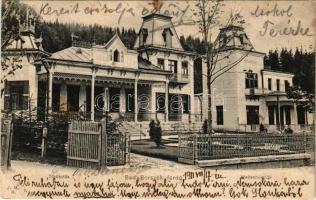 1911 Borszék, Borsec; Török villa, Waitschuk villa. J.M.N. / villas (b)