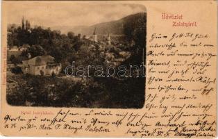 1904 Zalatna, Zlatna; Felső leányiskola. Dengel Frigyes kiadása / girls' school (EK)