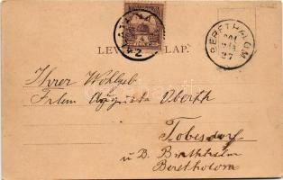 1904 Zalatna, Zlatna; Felső leányiskola. Dengel Frigyes kiadása / girls' school (EK)