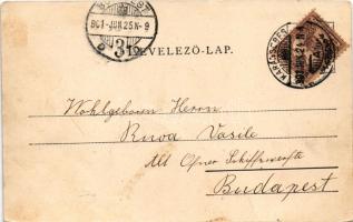 1901 Karánsebes, Caransebes; Az új állami polgári és elemi iskola. Hecskó Mór fényképész kiadása és ...