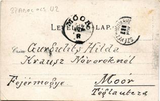 1901 Székelyudvarhely, Odorheiu Secuiesc; Állami reáliskola. Gál János kiadása / school (vágott / cu...