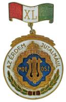 DN(1930-1940 k.) "MDEOSZ (Magyar Dalegyletek Országos Szövetsége) - Az Érdem Jutalmául - XL" zománcozott bronz dalos jelvény (49x31mm) T:AU
