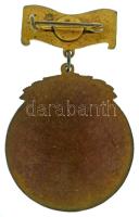 DN(1930-1940 k.) "MDEOSZ (Magyar Dalegyletek Országos Szövetsége) - Az Érdem Jutalmául - XL&quo...