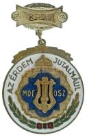 DN(1930-1940 k.) "MDEOSZ (Magyar Dalegyletek Országos Szövetsége) - Az Érdem Jutalmául - XXX" zománcozott bronz dalos jelvény (49x31mm) T:AU