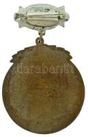 DN(1930-1940 k.) "MDEOSZ (Magyar Dalegyletek Országos Szövetsége) - Az Érdem Jutalmául - XXX&qu...