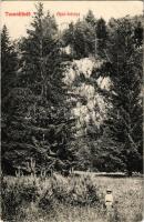 Tusnádfürdő, Baile Tusnad; Apor bástya / Turnul (Bastionul) Apor / bastion tower (EK)