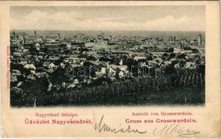 1908 Nagyvárad, Oradea; látkép. Helyfi László kiadása / general view (kis szakadás / small tear)