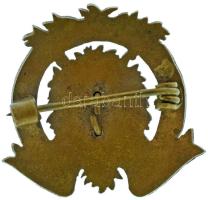1921. "Hungaria Férfikarének Egyesület - Budapest 1921" zománcozott bronz dalos jelvény (2...