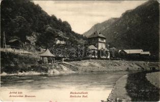 Herkulesfürdő, Baile Herculane; Artézi kút. Divald Károly 898. sz. / Artesischer Brunnen / fountain, well (EB)
