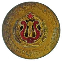 DN (1960-1970 k) "30 év a Magyar Zenekultúra Szolgálatában" zománcozott bronz jelvény (29mm) T:AU, patina