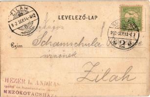 1902 Biharfüred, Stana de Vale, Stina de Vale; Kereszthegyi sziklaerkély / rock, lookout (fl)