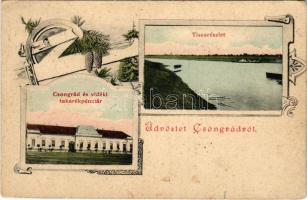 1917 Csongrád, Tisza részlet, Csongrád és Vidéki Takarékpénztár. Bozó és Justin kiadása. Art Nouveau, floral (fl)