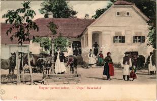 Magyar paraszt udvar / Ungar. Bauernhof / Hungarian folklore