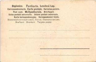 Magyar paraszt udvar / Ungar. Bauernhof / Hungarian folklore