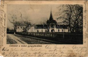 1904 Tenke, Tinca; Tenkei Gyógyfürdő. Schlesinger Károly kiadása / spa, bath (EM)