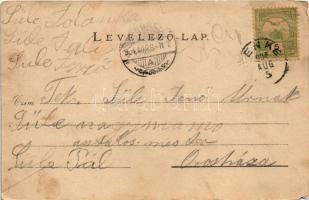 1904 Tenke, Tinca; Tenkei Gyógyfürdő. Schlesinger Károly kiadása / spa, bath (EM)