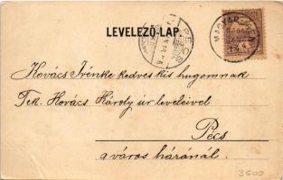 1900 Nagyenyed, Aiud; látkép. Wokál kiadása / general view (kis szakadás / small tear)