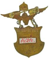 DN (~1900) "Miskolci MÁV. Tisztv. Dalárda" zománcozott bronz jelvény (42x35mm) T:AU