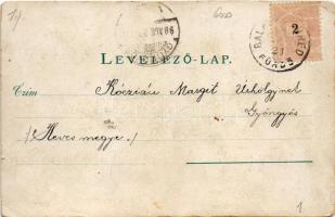 1898 Balatonfüred, Savanyú vízkút, Ipoly udvar, gyógyterem, Erzsébet udvar, Kisfaludy Sándor szobor,...