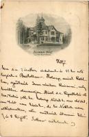 1912 Újtátrafüred, Neu-Schmecks, Novy Smokovec (Magas-Tátra, Vysoké Tatry); Szikra ház, villa. A levél címzettje Győry Vilmosné Székács Etelka, az orosházi evangélikus lelkész, Győry Vilmos özvegye. Sonnenfeld Adolf kiadása / villa (EB)