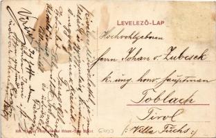 1911 Balatonszepezd, Szepezd; Faragó villa, csónakázók, nádas (r)