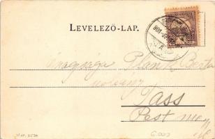 1901 Balatonszepezd, Szepezd; Balaton-parti részlet, templom, gulya. Schmidt Edgar kiadása (fl)