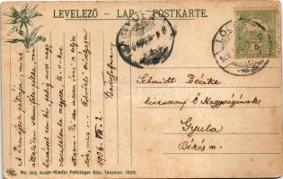 1906 Lőcse, Levoca; Városháza, tanácsterem, belső. Feitzinger Ede No. 955. 1905. / Rathaus, Sitzungs...