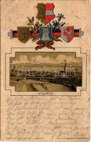 Villach (Kärnten), general view with Emb. litho coat of arms. Verlag von Joh. Leon (Rb)