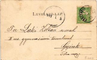 1909 Szigliget, látkép a Balatonnal. Sujánszky József kiadása (fl)