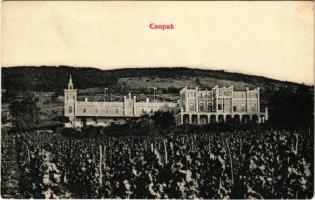 1914 Csopak, Ranolder kastély, szőlő. Kurzweil Frigyes kiadása (gyűrődés / crease)