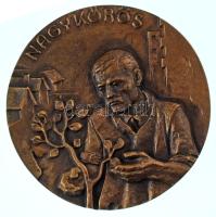 Lajos József (1936-) 1970 k. "Nagykőrös / A városért" kétoldalas, öntött bronz emlékérem (...