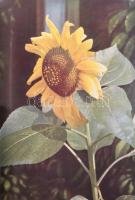 Max Mezger - Franz Boerner: Das Nieverlorene Paradies. Berlin-Darmstadt,1956., Deutsche Buch-Gemeins...