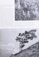 Max Mezger - Franz Boerner: Das Nieverlorene Paradies. Berlin-Darmstadt,1956., Deutsche Buch-Gemeins...