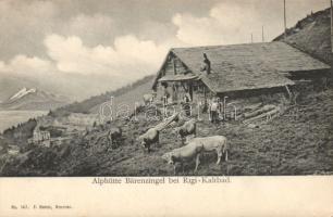 Rigi Kaltbad highlander cottage