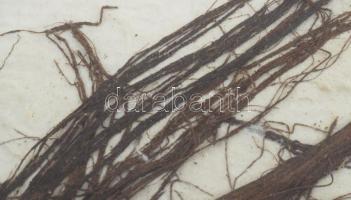 Wagner János (1936-2022): Gubanc (cím nélkül). Pálmalevél, merített papír, jelezve balra lent: Wagne...