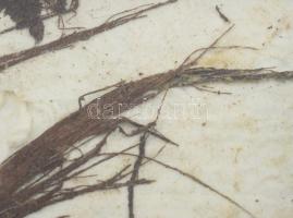 Wagner János (1936-2022): Gubanc (cím nélkül). Pálmalevél, merített papír, jelezve balra lent: Wagne...