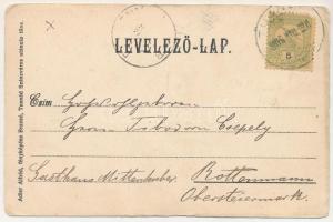 1905 Tusnádfürdő, Baile Tusnad; Villa Emma. Adler Alfréd kiadása / villa (vágott / cut)