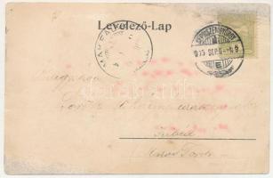 1905 Sepsiszentgyörgy, Sfantu Gheorghe; A Székely Mikó Kollégium tornász csapata az 1905. évi ország...