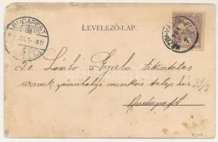 1901 Marosvásárhely, Targu Mures; Posta és távirda palota. Bogdán F. kiadása / postal palace (ázott ...