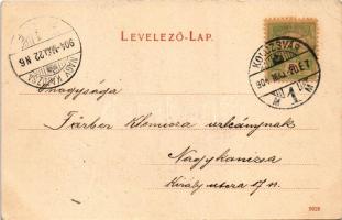 1904 Kolozsvár, Cluj; Vármegyeháza, Jakner József üzlete / county hall, shops (felületi sérülés / su...