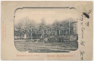 1902 Nagyszalonta, Salonta; Főszolgabírói lak és hivatal. Reich Jakab kiadása / judge's office and house (r)