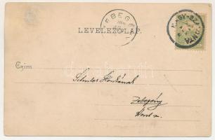 1902 Nagyszalonta, Salonta; Főszolgabírói lak és hivatal. Reich Jakab kiadása / judge's office ...