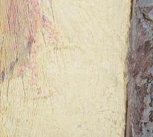 Wagner János (1936-2022): Gyökerek, 1993. Enkausztika, farost, jelezve jobbra lent és középen lent: ...