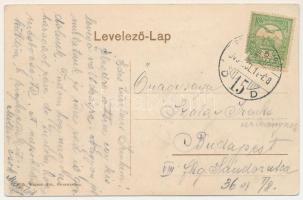 Élesd, Alesd; Erzsébet szálloda, Nagy Lajos vendéglős. Wilhelm Wagner kiadása / hotel (tűnyomok / pi...