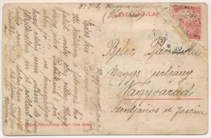 1918 Hagymádfalva, Spinus; templom, utcakép / church, street view (b)