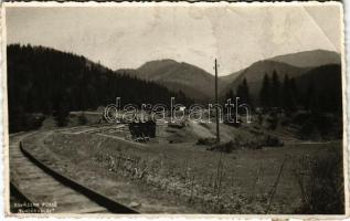 1942 Kovászna-fürdő, Baile Covasna; Tündérvölgy, vasúti pálya / railway track, bridge. Hadnagy Bazár photo (EB)