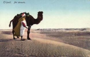 Tripoli desert camel (Rb)
