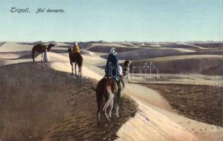 Tripoli desert camel (Rb)