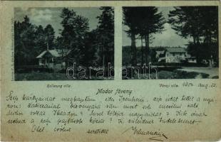 1903 Modor, Modra; Hollerung villa, város villa a fövenyen. Levius P. S. kiadása / villas (EB)
