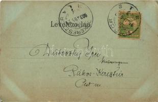 1903 Modor, Modra; Hollerung villa, város villa a fövenyen. Levius P. S. kiadása / villas (EB)